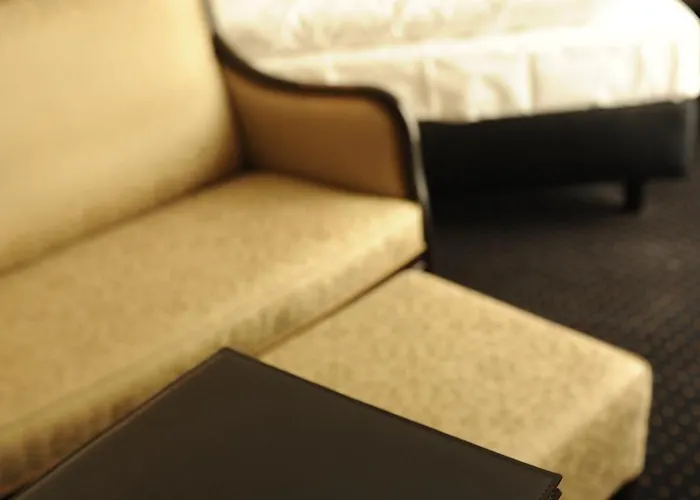 舍纳酒店和餐厅